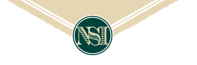 nsi nobel sport blond logo