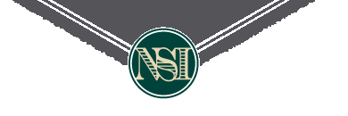 nsi nobel sport gray logo